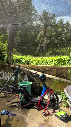 14 củ bao ship tận nhà cho ae nào cần bớt 1 củ cho ae nhanh lẹ#longuyenlong 