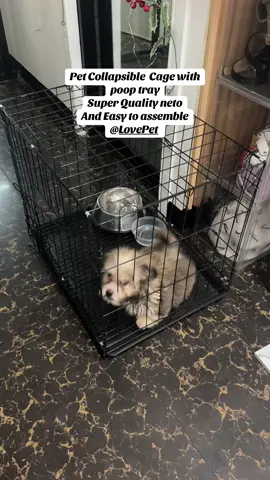 Napaka ganda at napaka mura lng ng pet cage with poop tray nato❤️ @LovePet #petcollapsiblecagewithpooptray #petcagewithpooptray #petcageheavyduty #dogcage #affordablepetcage 