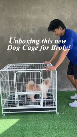 Give your furbaby the safe and comfy space they deserve! #dogcage #affordabledogcage #metaldogcage #dogessentials 