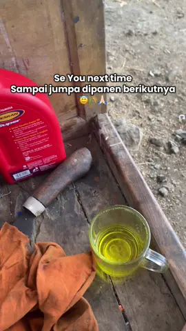 #foryoupage #cctvcombinesulawesi #combineharvester #kubotadc70plus #fyppppppppppppppppppppppp 