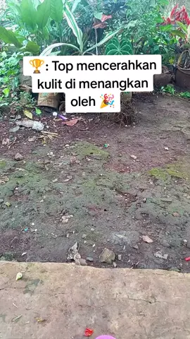 Sabun Papaya RDL sabun muka mencerahkan kulit plus sunscreen with VIT A C E  #rdl #sabunmuka #sabunpapaya 