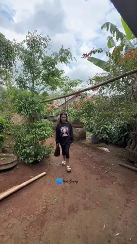 anggur pamere#foryoupage 