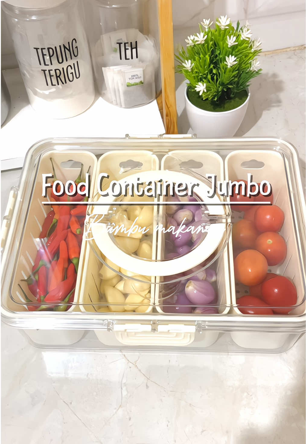 #fyp #fypage #foodcontainer #promo1010 
