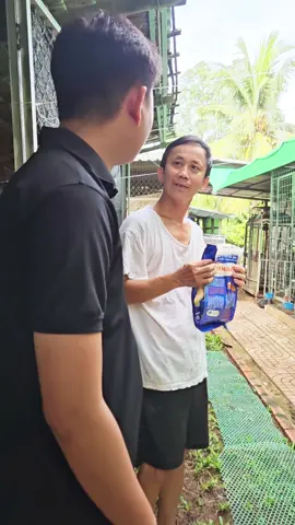 Anh em tham khảo cách sư kê lâu năm nuôi gà bằng ngũ cốc nha anh em