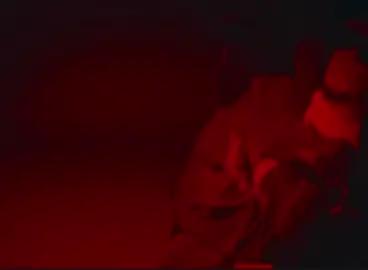 #viral #fyp #trending #foryoupage #viralvideo @Yan Block 