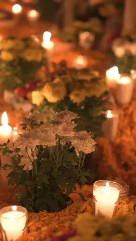 Cuando lejos te encuentra de mí … #michoacan #tzintzuntzan #arocutin #cucuchucho #ihuatzio 