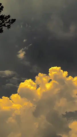 ابق متواضعا ، فليكن الرتفعون صلواتنا واماالنا “tetaplah merendah, biarkan yang tinggi itu do'a dan harapan kita.” #fyp #arabicsong #langitaesthetic #fyppage #langitaesthetic 