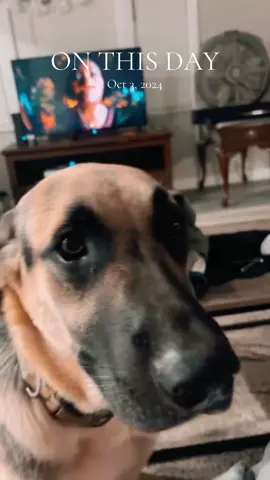 #onthisday oh how much i miss you