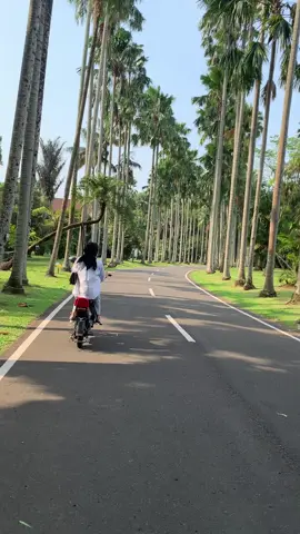 Lumayan buat prank temenmu, biar dikira lagi jalan jalan padahal mah dirumah 😂 📍Kebun Raya Bogor #videomentahan #prankvideo #fyp #mentahan #kebunrayabogor 