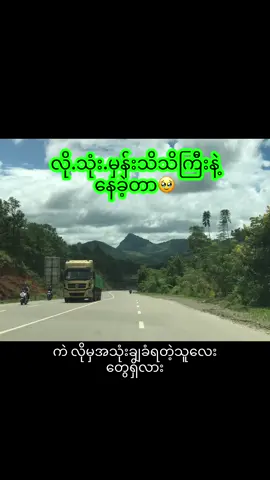 လို.သုံး.မှန်းသိသိကြီးနဲ့နေခဲ့တာ🥹 ၃.၁၀.၂၀၂၅ #japantiktok #မြန်မာtiktok😁 #မူရင်းအသံပိုင်ရှင်အားcrdပေးပါတယ် #followers #foryou 