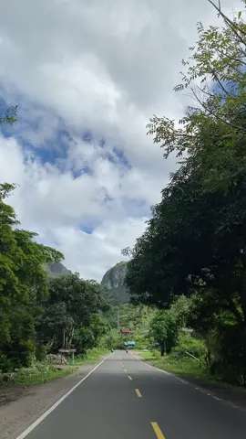 🍃⛰️ #durienrekang#fyp #gunungbambapuangy#sulawesiselatan 