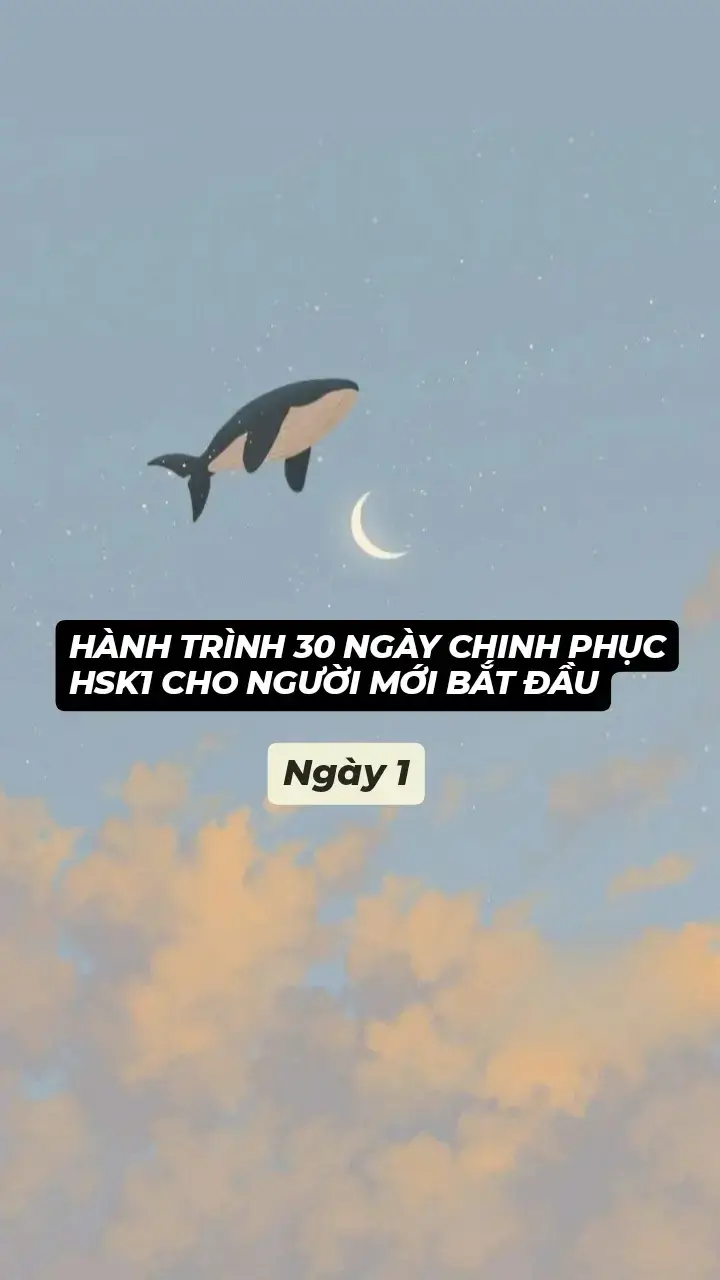 Ngày 1: - Học bảng Pinyin 21 thanh mẫu - Học 8 nét cơ bản - Học 8 quy tắc viết #hoctiengtrung#chinese #fpy