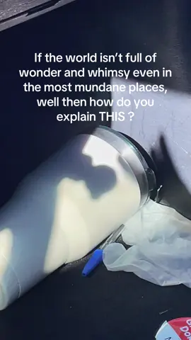 #whimsymaxxing #whimsical #lifeismagical 