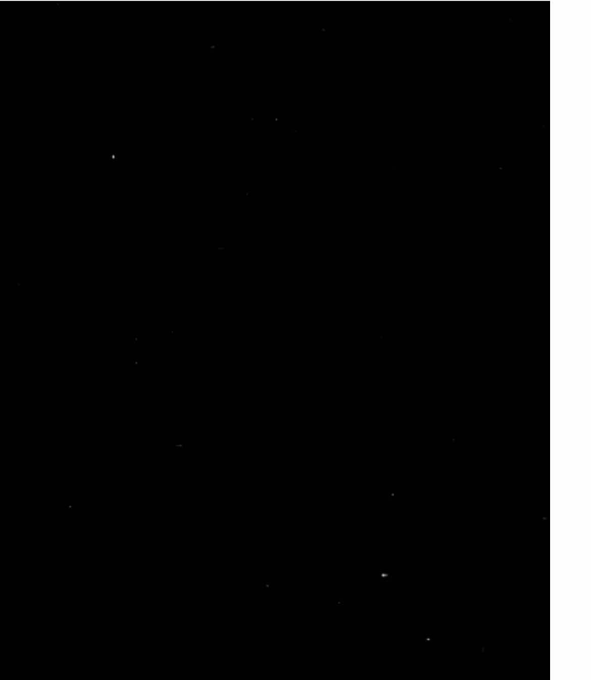 والي مايرجف شاربو والله ماهو قادر ان يكون بعثي زين#صدام_حسين #صداميون_للموت #لايك_متابعه_اكسبلور #العراق_السعوديه_الاردن_الخليج #العراق 