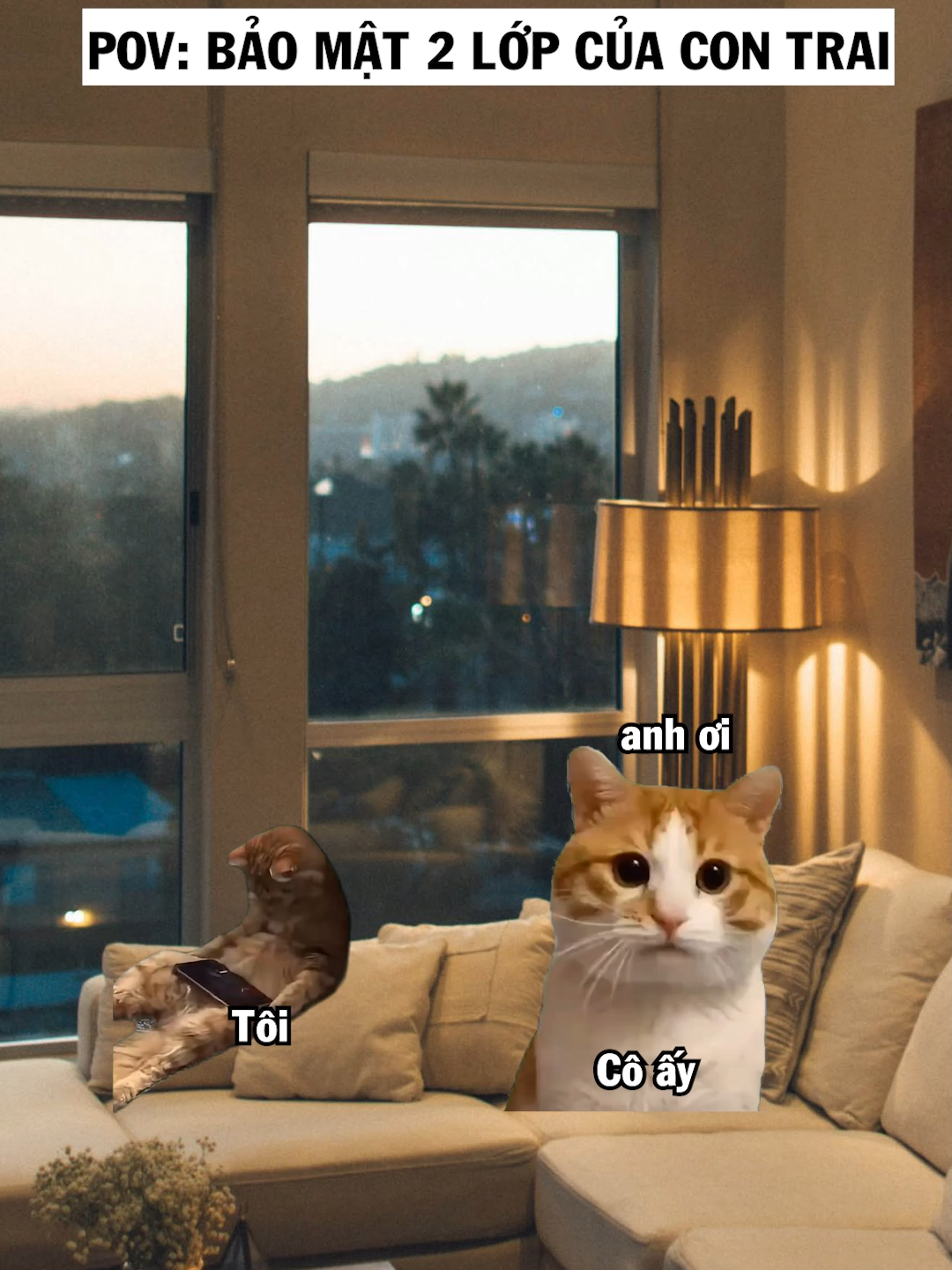 Bảo mật  hơi kĩ #meme #nupgamgiuong #cat #fyp #j4f #funny #foryou