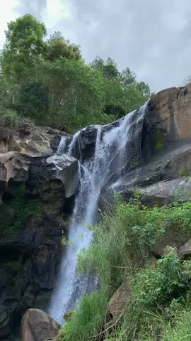 🤩🤩 #ponorogo24jam #fyppppppppppppppppppppppp 