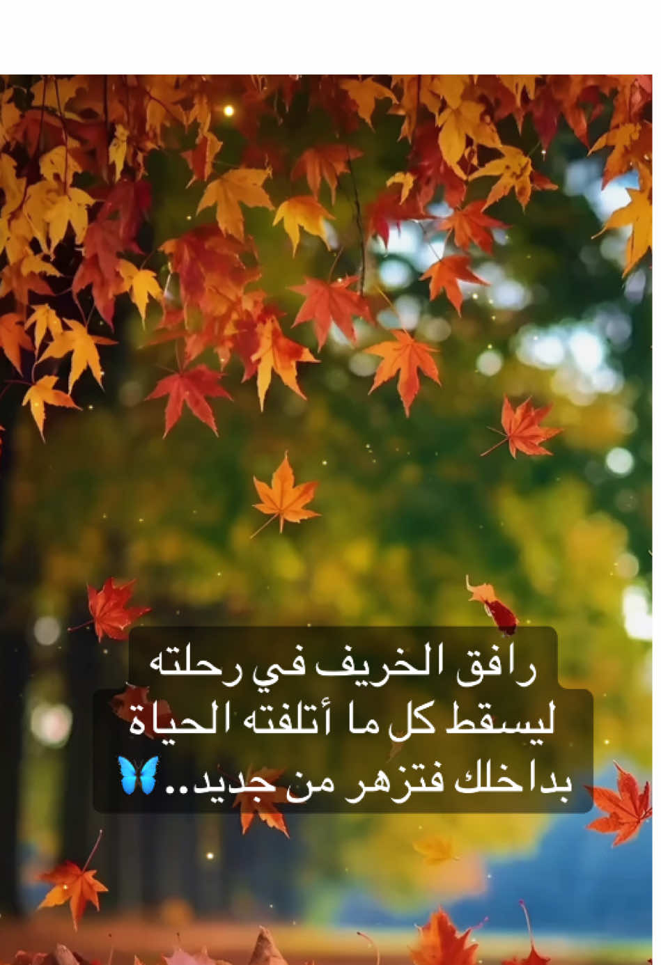 يذكرنا الخريف بأنه  يمكن للتغيير أن يكون جميلًا.