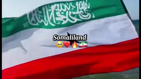 #edit😍❤️‍🔥 #🦊 #༆ᗪᗩᖴIᖇTO🦊❤️༆ #somalilandtiktok💚🤍❤ #habarjeclo #CapCut #burco_gobalka_ragga #fyyyyyyyyyyyyyyyy #burco #music 