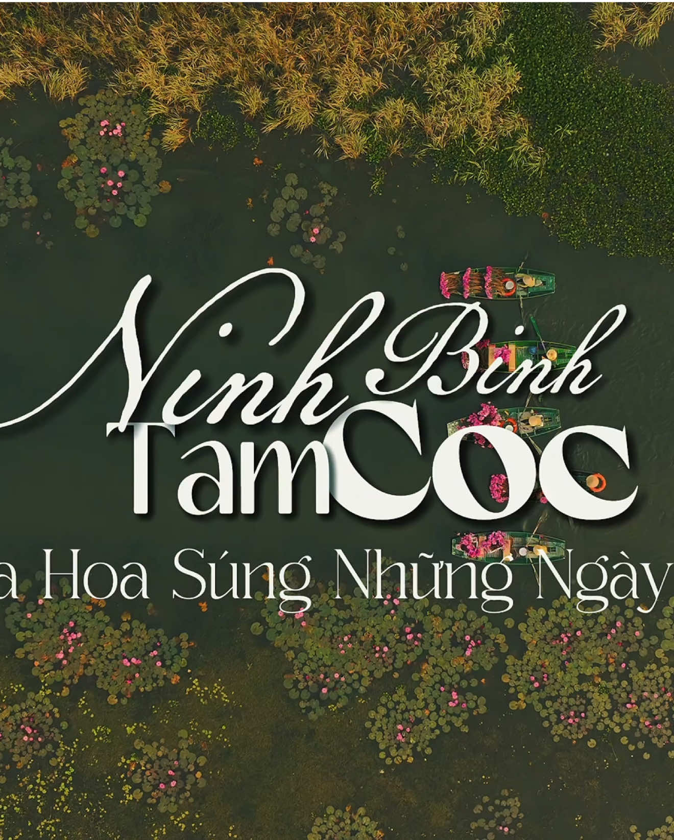 Việt Nam tôi đẹp quá đi, phim ảnh cũng sao bằng được 🇻🇳🪷! #tamcoc #ninhbinh #disanvietnam  #muahoasung #VietNam