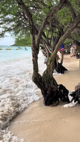 คุ้มค่ากับการที่ทำงานเหนื่อยเพื่อสิ่งนี้#หาดเทียน 