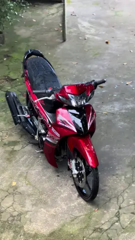 view xịn😙#sirius 