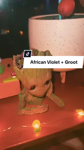 🌿 Planting an African Violet propagation in Groots head ✨ #africanviolet #plantpropagation #iamgroot #plantcare #letsgrow 