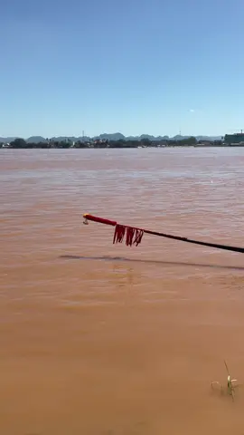 เทพนิรันดร์🤩💯🔥#ดงต้องเลือด💯#ธิดาสวรรค์#ดงต้องนครพนม❤️‍🔥#fyp#fyp