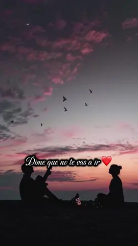 #losmier #teamo #musica #viral 