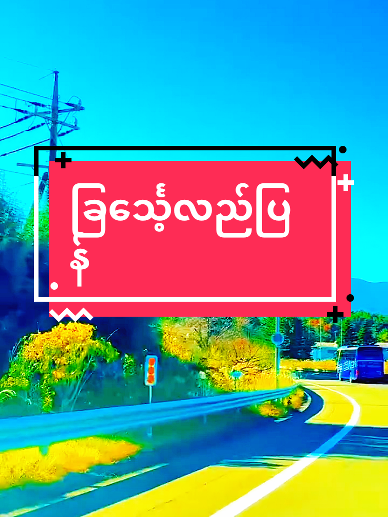 #ခြင်္သေ့လည်ပြန်#စိုင်းထီးဆိုင်#မြန်မာသံစဥ်တေးများ #naingoo .008#fypシ゚ 