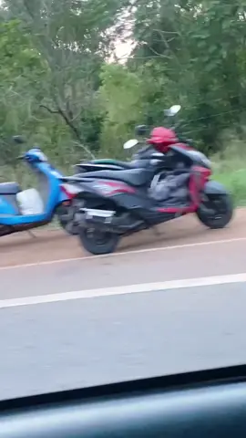 කොහොම ද අලි රංචුව 🐘🔆 #elephants #yala #උඩවලව🍃📍 #srilanka #goviral #foryou #nipunsanjaya 