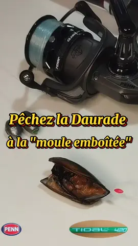 #fyp #fishing #dorade #foryoupageofficiall❤️❤️tiktoklover #pêche @PENN Europe 