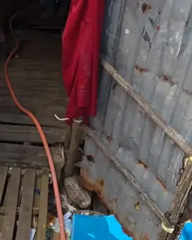 Cực Khổ Thành Thoái Quen Rồi cả nhà ơi