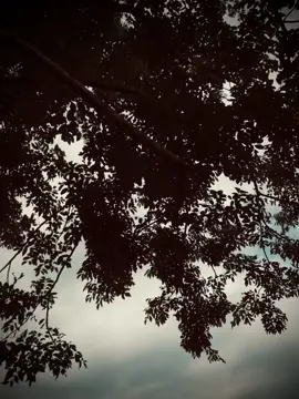 一万人宠爱，不等于一个懂人，一万追求者，不等于一个爱人。”Vạn người nuông chiều không bằng một người thấu hiểu, vạn kẻ theo đuổi không bằng một người yêu thương.#foryou #mquang 