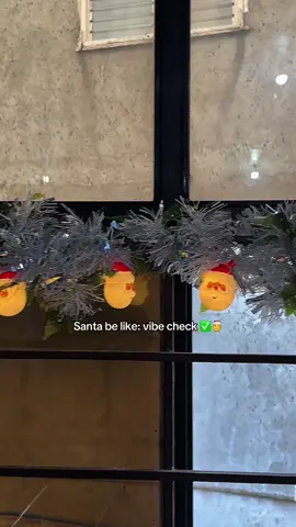 POV: You flexing your lights but Santa flex harder 🎅✨ #christmaslights #christmasdecor #fyp 