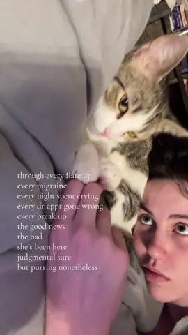 we watch from the sidelines together #chronicillness #catsoftiktok 