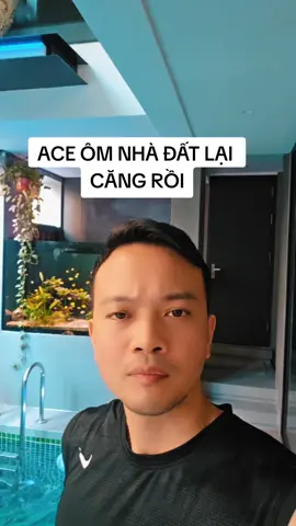 ACE ÔM BẤT ĐỘNG SẢN LẠI CĂNG ĐÉT RỒI!!