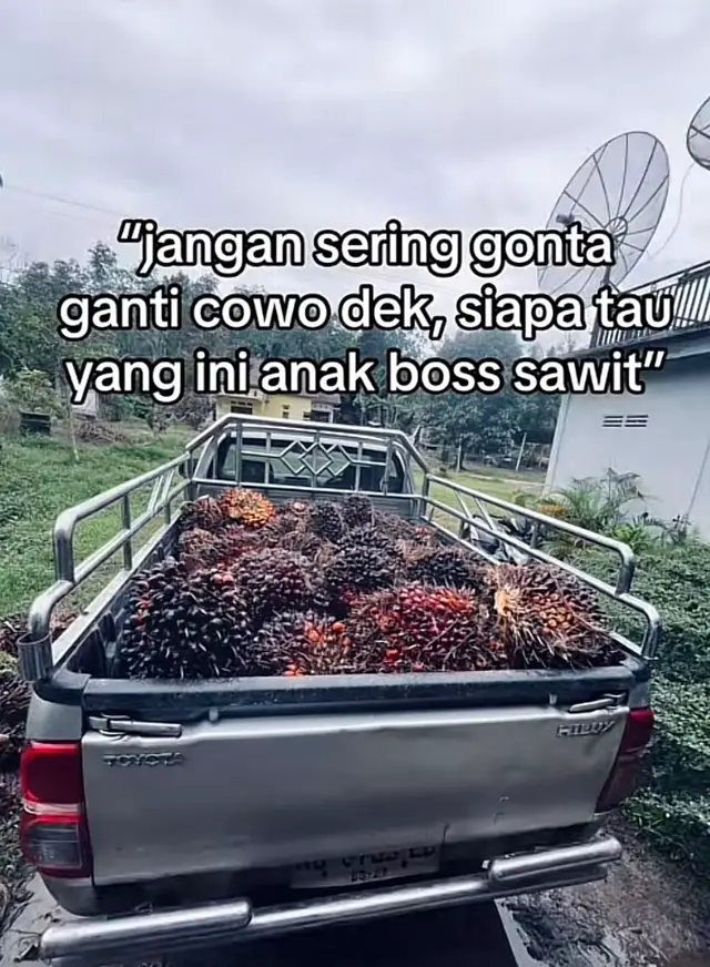#sawit #fyp #bossawit 