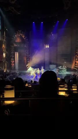 #cirquedusoleil  #enjoycsncuntours