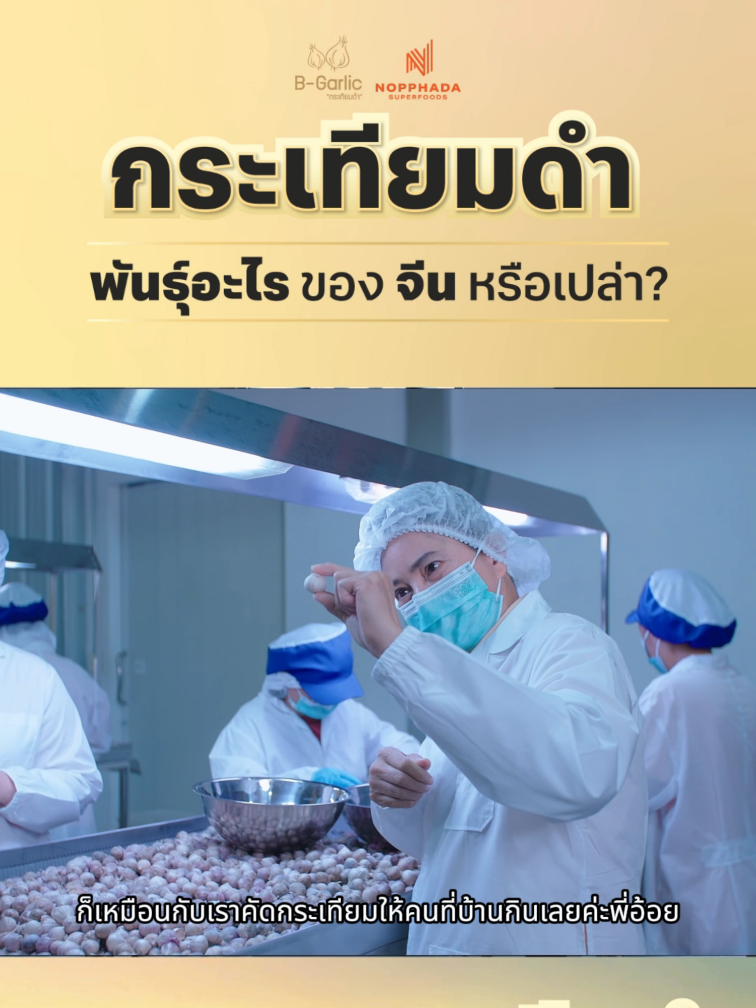 มีคนถามบ่อย…กระเทียมดำที่เห็น ใช้พันธุ์อะไร? ของจีนหรือเปล่า?🤔 คำตอบคือ 👉B-Garlic ใช้กระเทียมไทย จากเกษตรกรท้องถิ่นชาวไทย🌱 . เราคัดจากเกษตรกรท้องถิ่น ปลูกในดินและสภาพแวดล้อมที่เหมาะสม แล้วนำมาเข้าสู่กระบวนการผลิต จนได้กระเทียมดำที่มีรสหวานนุ่มและคุณค่ามากกว่าเดิม . มั่นใจได้เลยว่า…นี่คือ พลังสุขภาพจากกระเทียมไทยแท้ . #ทานจนรักจนได้มาเห็น #BGarlic #จากผู้บริโภคสู่โรงงาน #มั่นใจในทุกคำ #BlackGarlic #superfoods #bgarlicกระเทียมดํา #กระเทียมดํา #บีการ์ลิค