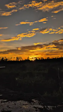 Eh eh eh nyoree 🌄 #dji #agriculture #modern #drone #forestry 