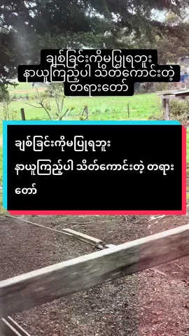 #နာယူပါမှတ်သားပါကျင့်သုံးပါ #fyp #foryou #မြန်မာtiktok😁 #foryoupage 