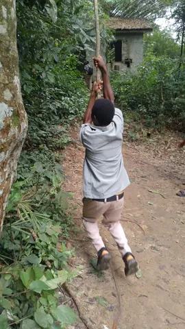 #creatorsearchinsights 