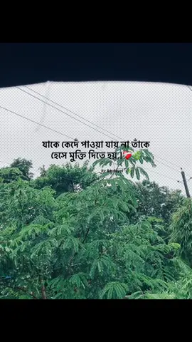 যাকে কেদেঁ পাওয়া যায় না তাঁকে  হেসে মুক্তি দিতে হয়.!❤️‍🩹🌿#foryou #trending #banglacaption #popularvideo #captionvedio 