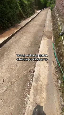 #galaubrutal 