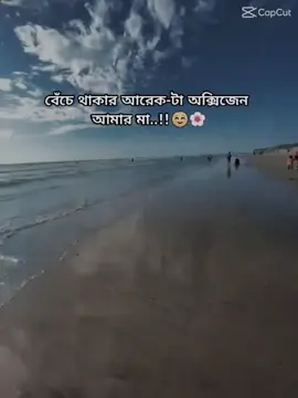 আপনার মা কে নিয়ে একটা লাইন বলে যান 🌸❤️ আমার মা আমার সব 🌸❤️🌸❤️🌸❤️ #fyp #viral #ti̇ktok 
