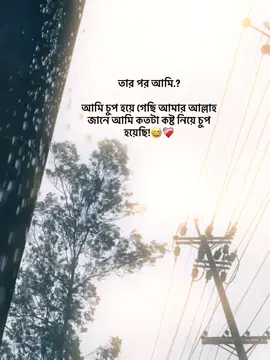 তার পর আমি.? আমি চুপ হয়ে গেছি আমার আল্লাহ জানেআমি কতটা কষ্ট নিয়ে চুপ হয়েছি!😅❤️‍🩹#fypシ #trending #status #viralvideo #mehedihasanopu2 @TikTok @TikTok Bangladesh 