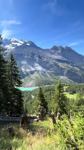 11/10 bench #switzerland #Hiking #life #nature #views 