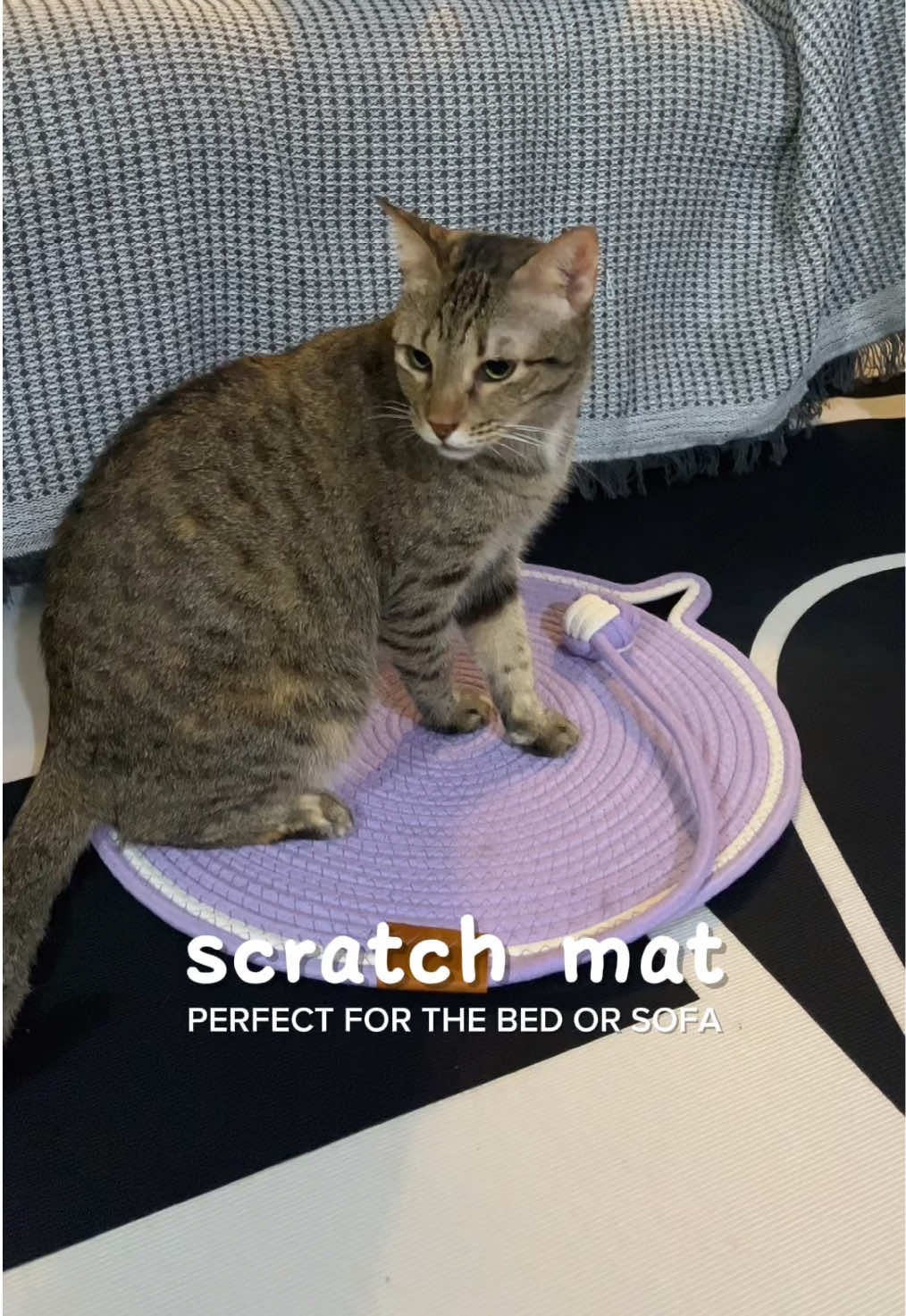 cat scratching mat perfect for your bed or sofa #catscratcher #catessentials #petproducts #scratchpad #catsupplies