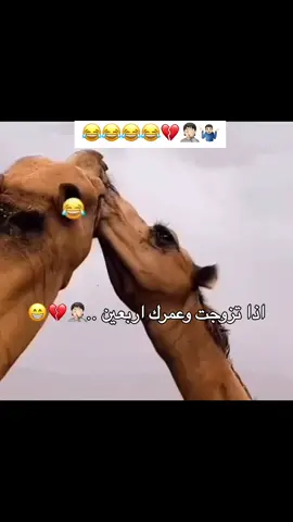 اضرار الزواج في سن متأخر 🤣🤣😂😂😂😂