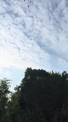 Jumpa taun depan#layanganmadura#viraltiktok#fypppppppppl